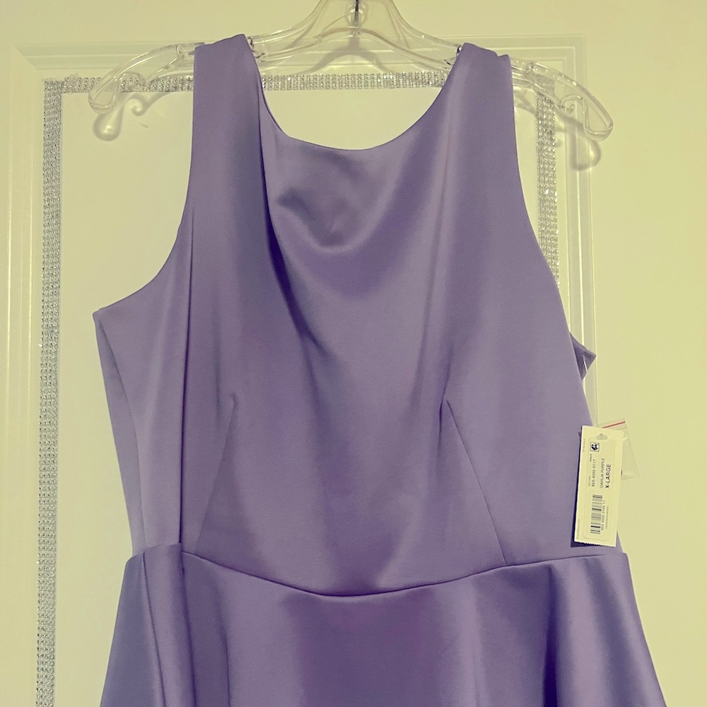 Dahlia purple top